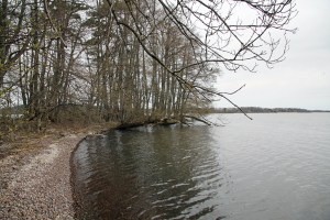 IMG_3422_redigerad-1