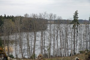 IMG_3435_redigerad-1