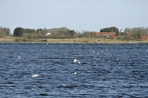 _MG_2469_redigerad-1