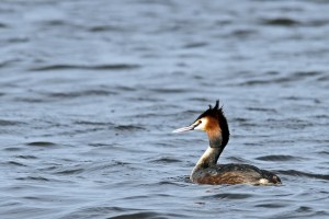 _MG_2862_redigerad-1