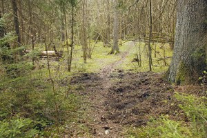 _MG_3427_redigerad-1