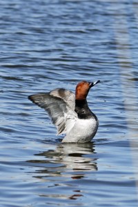 _MG_3483_redigerad-1