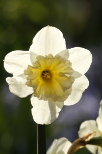 _MG_4462_redigerad-1