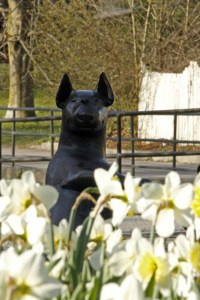 _MG_4473_redigerad-1