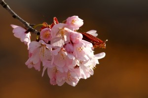 _MG_4482_redigerad-1