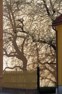 _MG_4494_redigerad-1