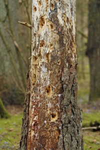 _MG_4564_redigerad-1