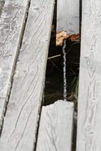 _MG_4575_redigerad-1