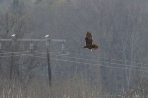 _MG_4612_redigerad-1