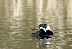 _MG_5255_redigerad-1