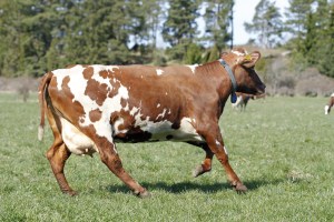 _MG_5682_redigerad-1