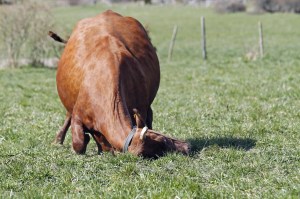 _MG_5688_redigerad-1