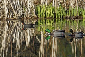 _MG_5879_redigerad-1