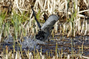 _MG_6162_redigerad-1