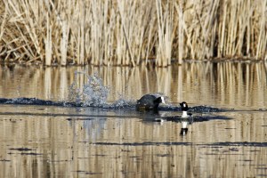 _MG_6205_redigerad-1