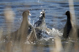 _MG_6268_redigerad-1