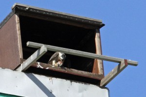 _MG_6343_redigerad-1