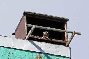 _MG_6350_redigerad-1