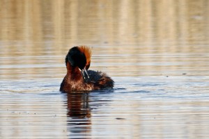 _MG_6621_redigerad-1