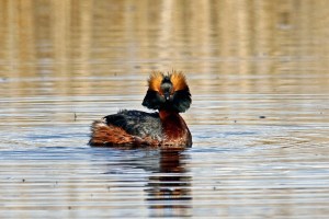 _MG_6623_redigerad-1