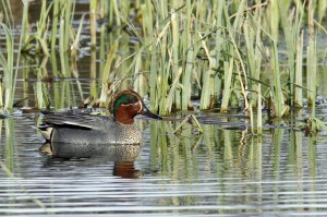 _MG_6672_redigerad-1