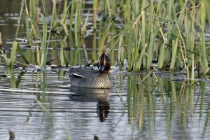 _MG_6675_redigerad-1