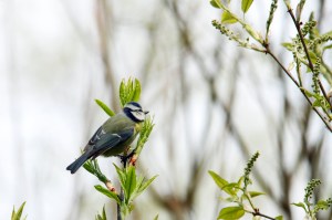 _MG_6753_redigerad-2