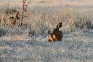 _MG_6792_redigerad-1