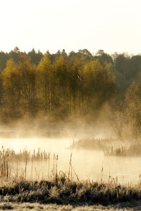 _MG_6890_redigerad-1