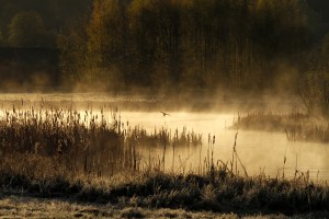 _MG_6893_redigerad-1