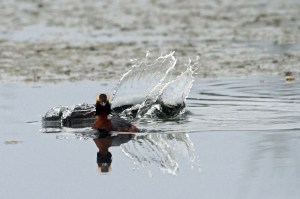 _MG_7062_redigerad-1