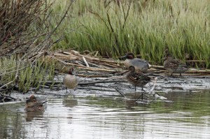 _MG_7186_redigerad-1