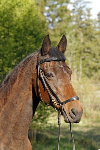 _MG_0135_redigerad-1