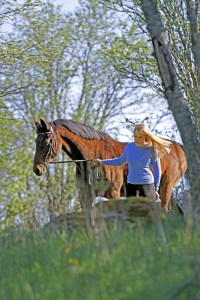 _MG_0333_redigerad-1