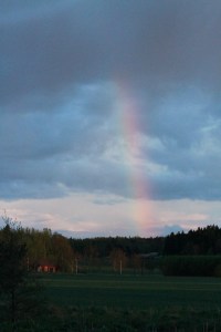 _MG_1847_redigerad-1