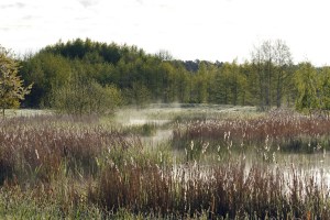 _MG_2638_redigerad-1