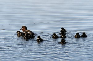 _MG_2670_redigerad-1