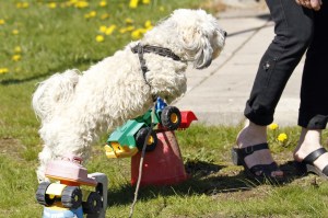 _MG_3184_redigerad-1