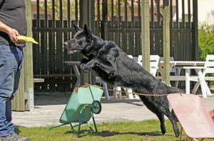 _MG_3206_redigerad-1