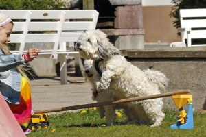 _MG_3232_redigerad-1