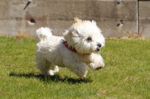 _MG_3251_redigerad-1