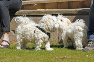 _MG_3267_redigerad-1