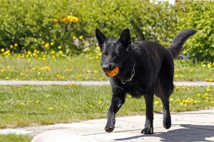 _MG_3310_redigerad-1