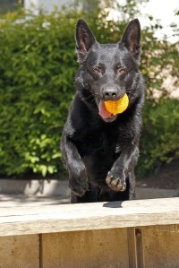 _MG_3315_redigerad-1