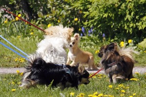 _MG_3324_redigerad-1