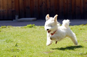 _MG_3368_redigerad-1