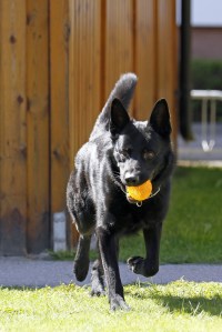 _MG_3371_redigerad-1