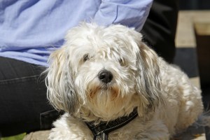 _MG_3375_redigerad-1