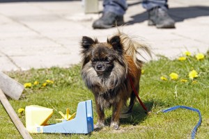 _MG_3416_redigerad-1