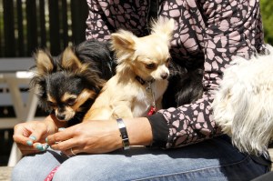 _MG_3419_redigerad-1